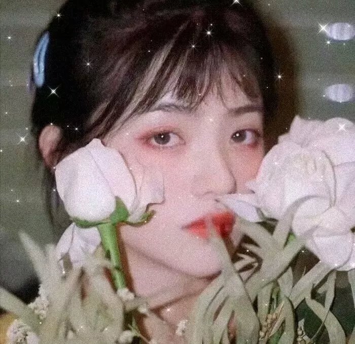 爱书系列之暗黑童话